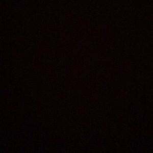 Meet your Posher, Jasper